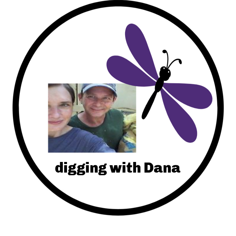 digging with dana